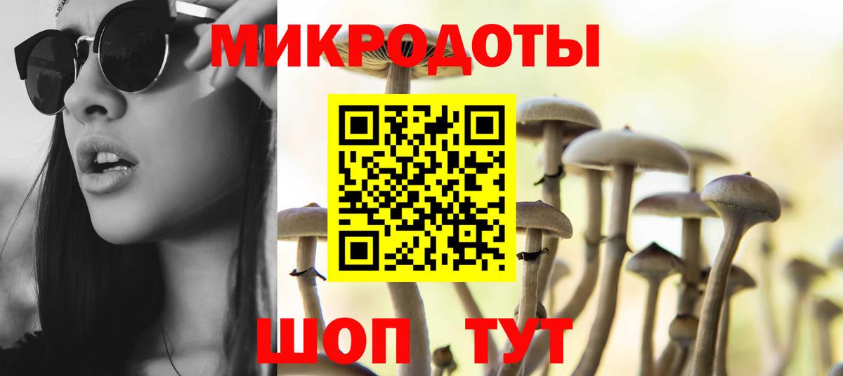 Галлюциногенные грибы Psilocybine cubensis Кемерово